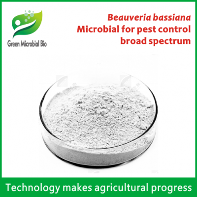 Microbial Beauveria bassiana